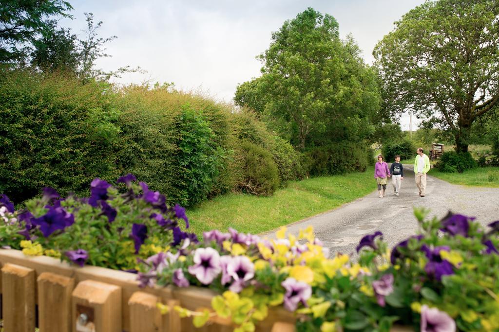 Villa Burren Glamping à Kilfenora Extérieur photo