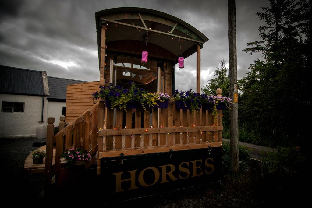 Villa Burren Glamping à Kilfenora Extérieur photo